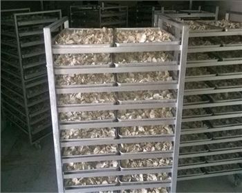 綿陽市靖化節(jié)能環(huán)?？萍脊倬W(wǎng)正式升級成功