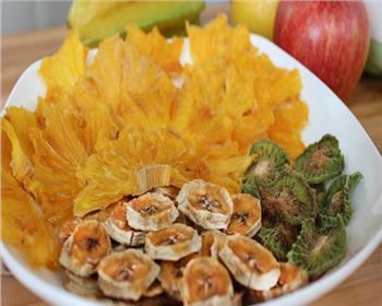 四川果蔬烘干機(jī)故障處理方法有哪些？?