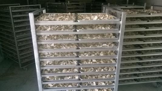 四川中藥材烘干機(jī)