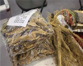 關于四川藥材烘干機這些要點，你真的知道嗎