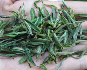 茶葉烘干淺析--空氣能熱泵食品烘干技術助力傳統(tǒng)制茶工藝